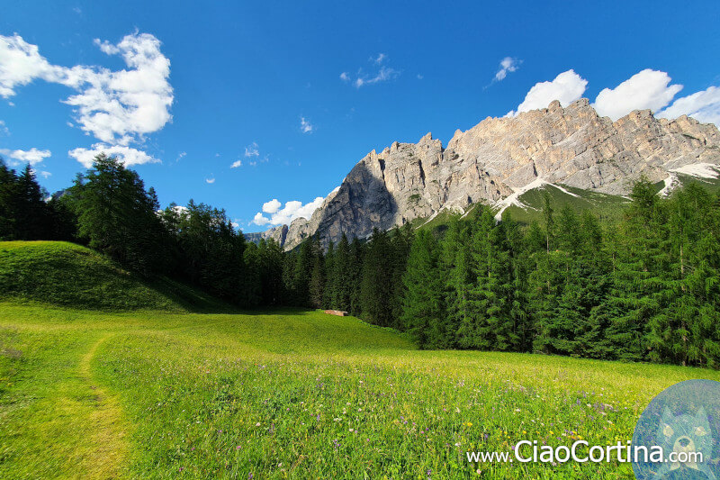 Il Pomagagnon visto dalla polveriera di Cortina