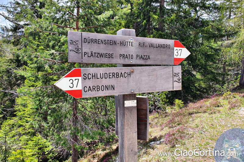 Wooden sign of path 37