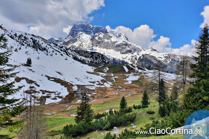 Snowy panorama in June