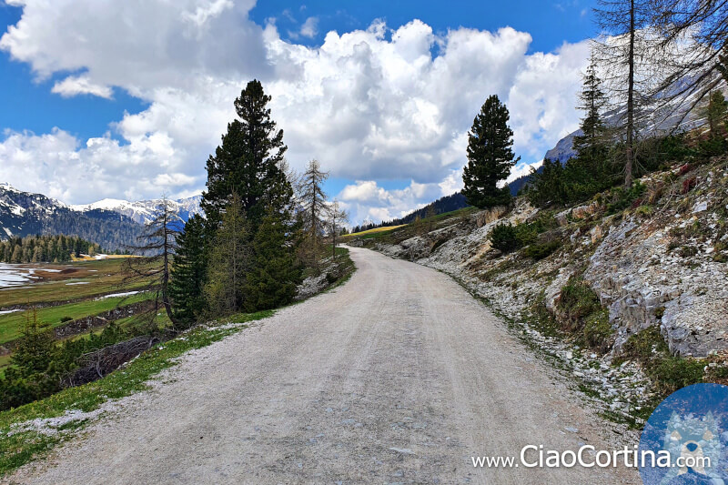 The road towards Rifugio Plätzwiese hütte