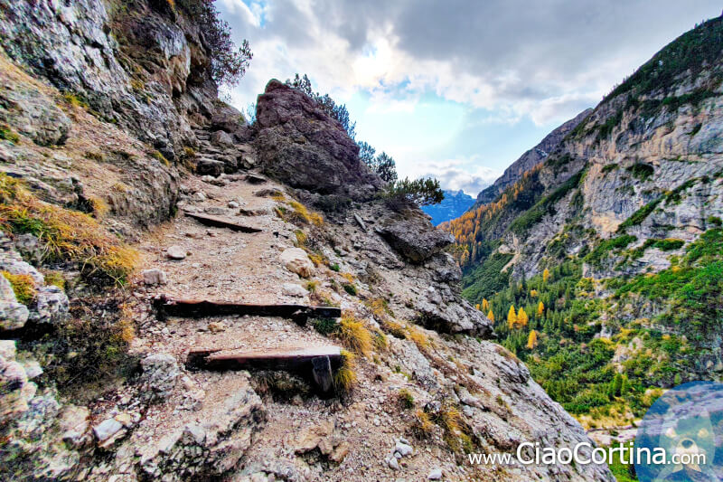 Ladder in the rock at the end of the steep climb