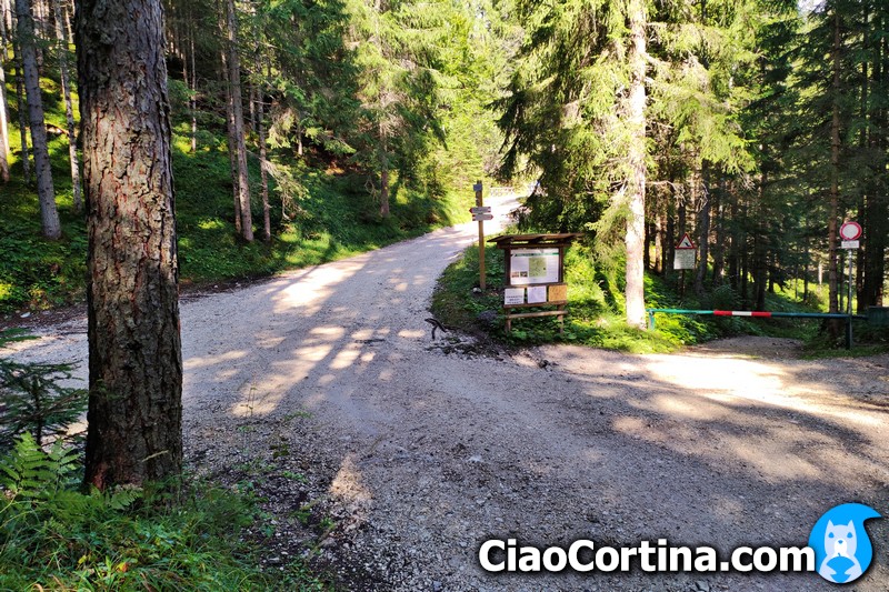 Strada boschiva a Cortina con incrocio Mortisa, Ajal e Cesura Granda