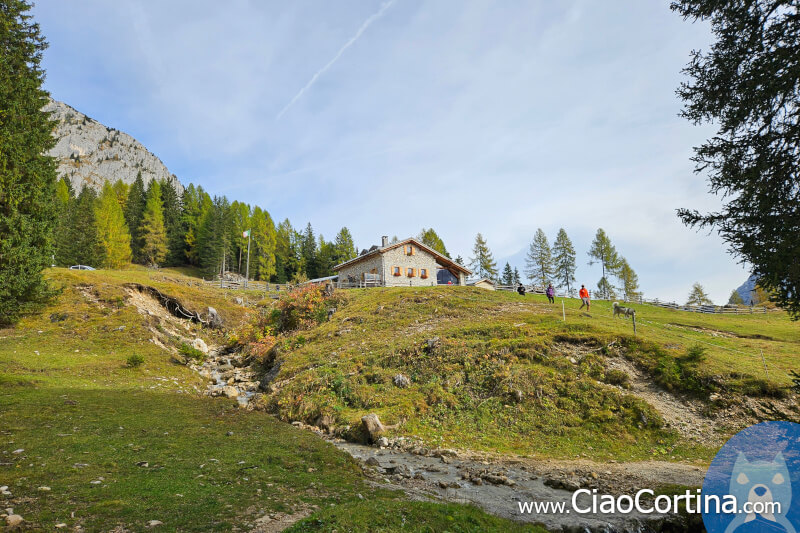 Malga Maraia all'orizzonte