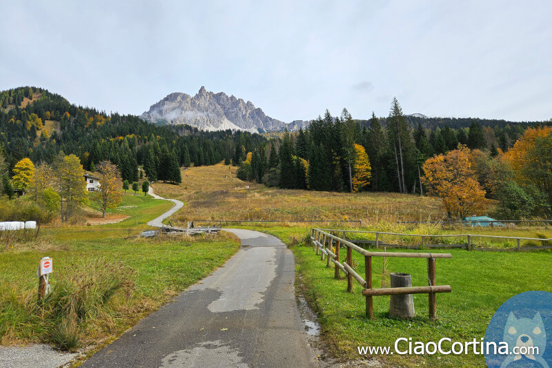 The first climb towards Malga Maraia