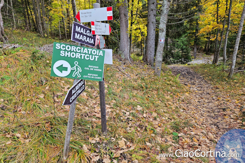 Signposts for Malga Maraia are not always optimal