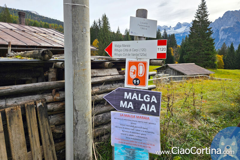 Sentiero 120 in direzione Malga Maraia