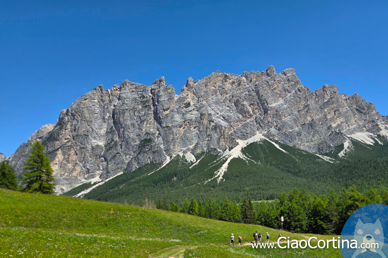 Il monte Pomagagnon da Cadin.