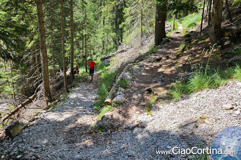 Descent towards Fiames along path 408