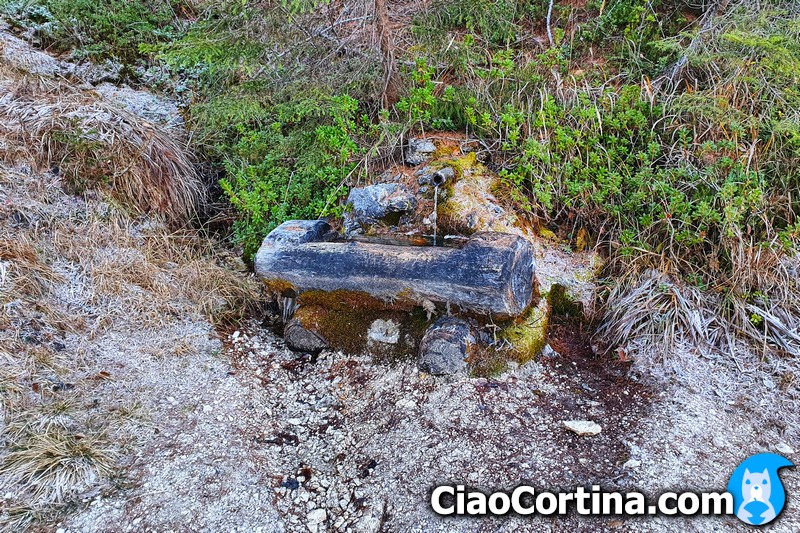 Small fountain along the path to Posporcora