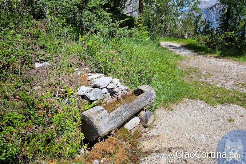 Small fountain along the path to Posporcora