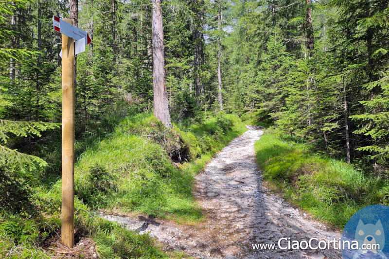 Tornante sulla strada di Cianderou