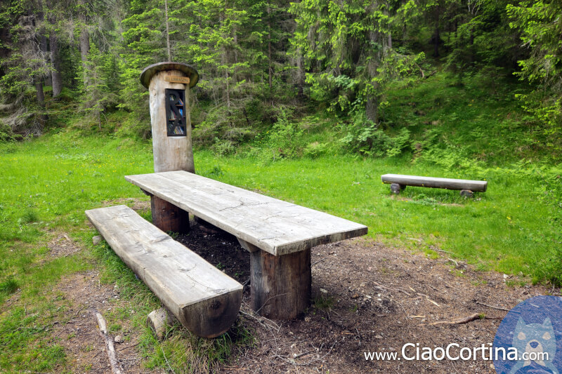 Il Librasción, un book crossing in mezzo al bosco