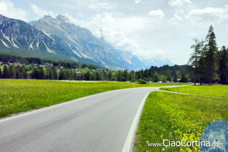 Road that leads from Campo di Sotto to Zuel