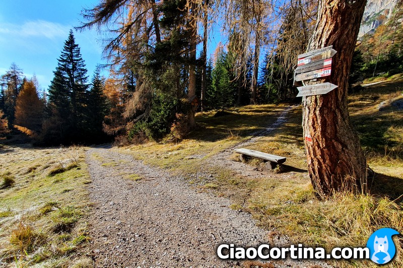 Trail junction 204 and 211 toward Cortina or Larieto