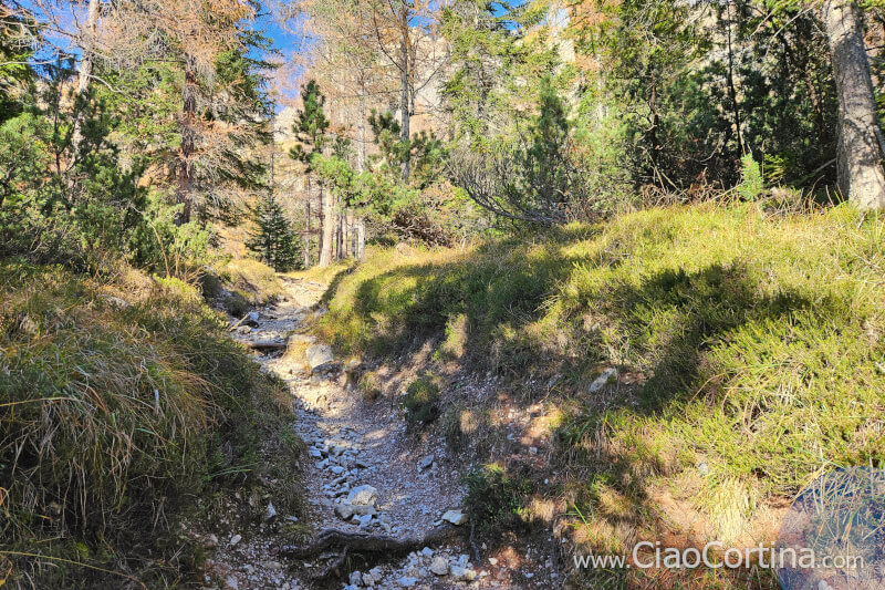 Sentiero in salita in direzione Zumeles