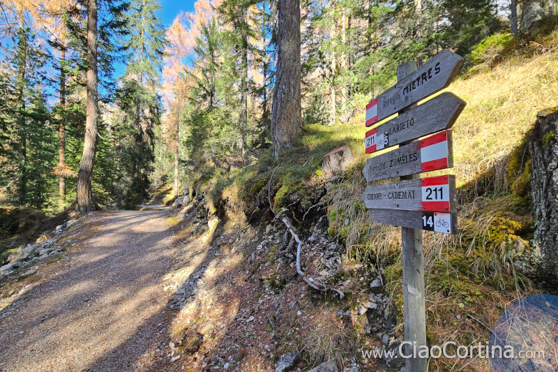 Passeggiata nel bosco da Larieto a Mietres