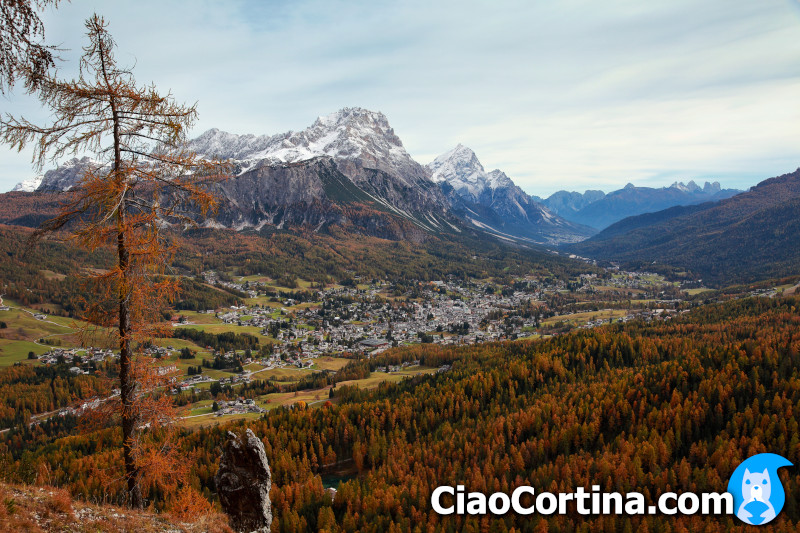 Panorama of Cortina from the Crêpe de Cianderou Cianderou, with Mount Faloria and Mount Antelao