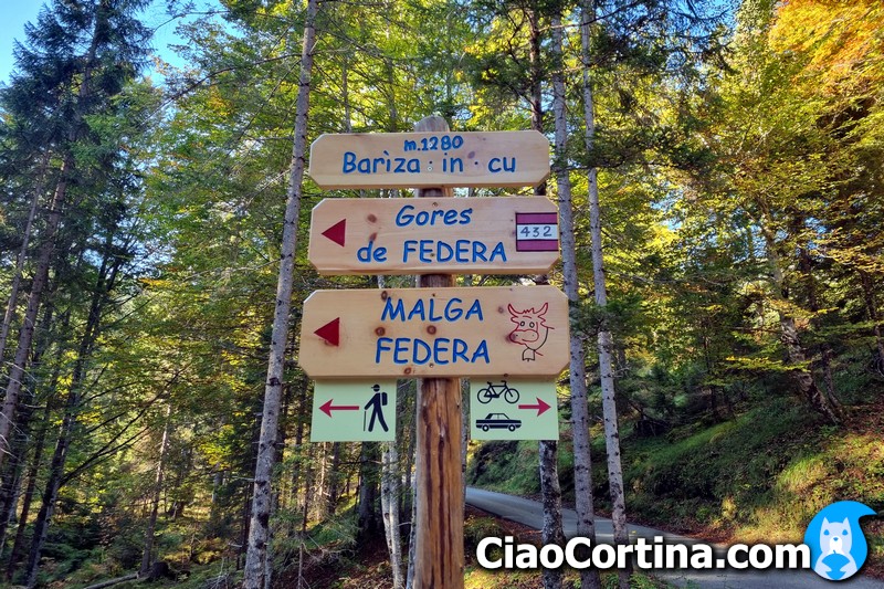 Direction of forest path 432 and Malga Federa