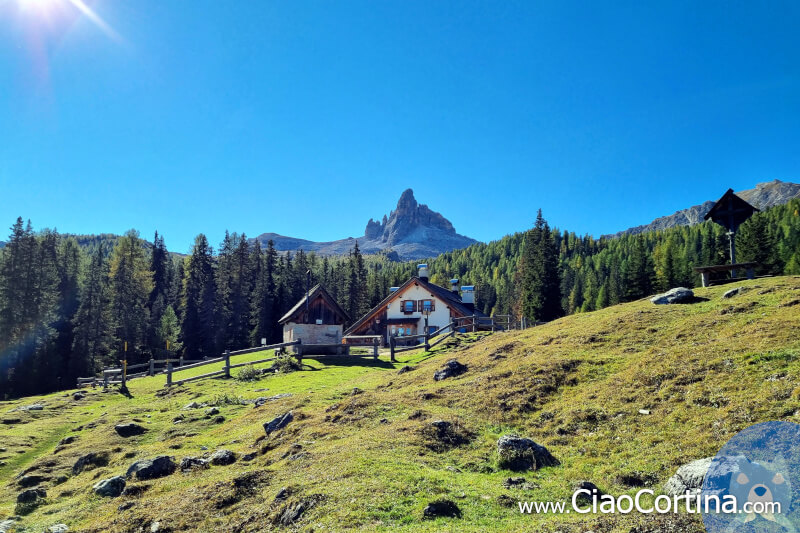 Malga Federa, a Cortina d'Ampezzo