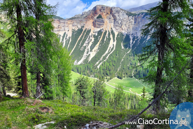 The meadow of Ciampo de Cros seen from above