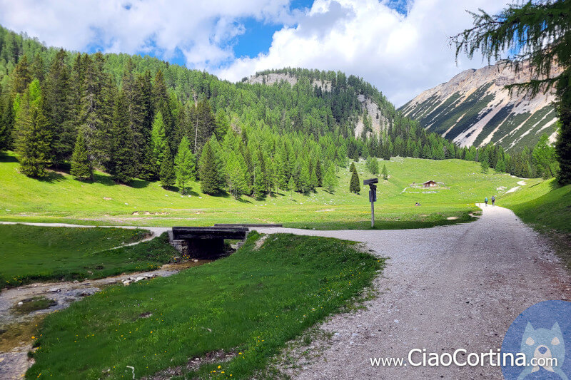 The big pastures of Ciampo de Cros