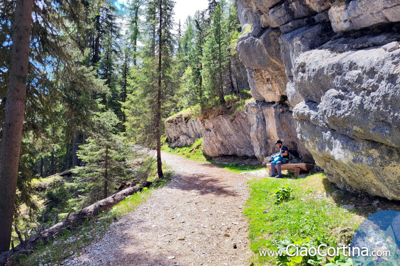 La salita verso il Rifugio Fodara Vedla