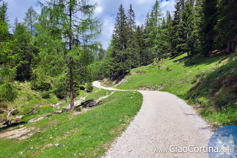 La strada in direzione Ciampo de Cros