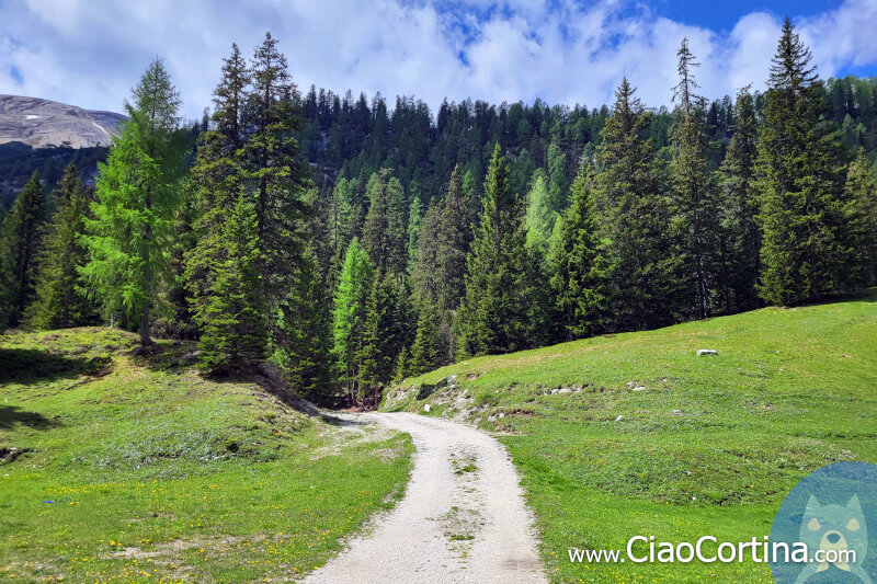 La strada verso la salita verso Federa