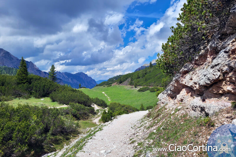 La strada verso il rifugio Fodara