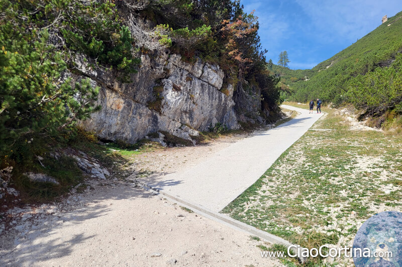 Concrete road surface