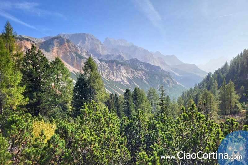 Natural Park of the Ampezzo Dolomites