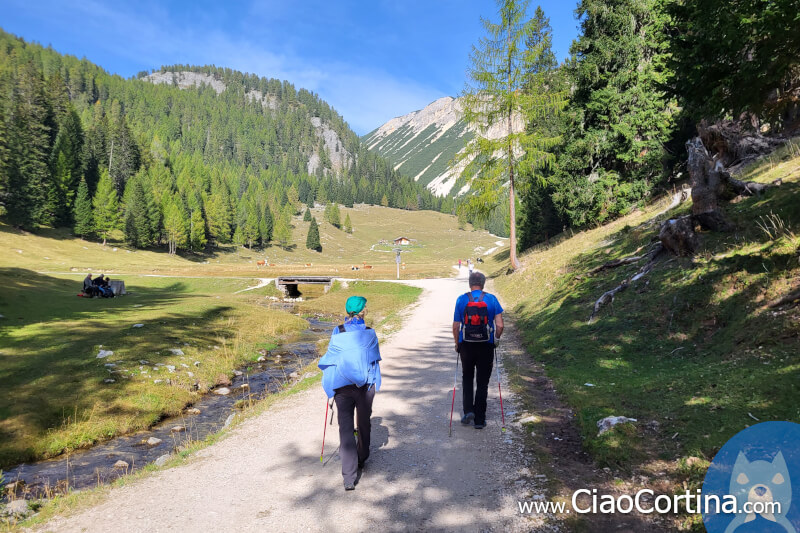 La strada attraversa i pascoli di Ra Stua