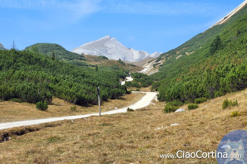 La strada in direzione Senes