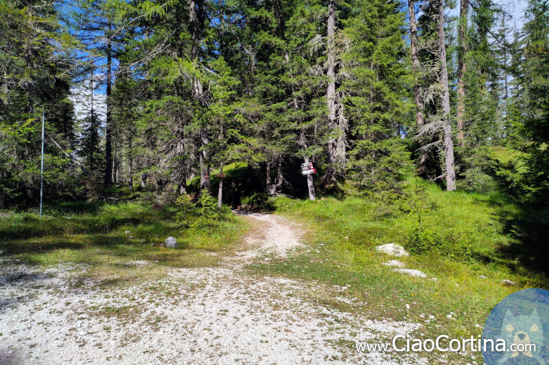 La partenza del sentiero panoramico Dolomieu