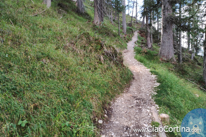 La salita che vi avvicina al primo punto panoramico del sentiero