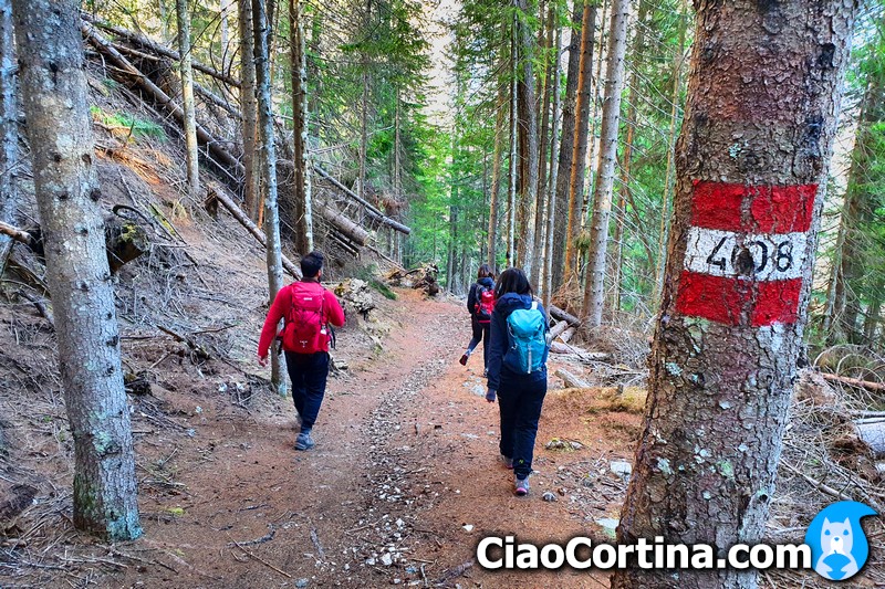 A beautiful hike in Cortina