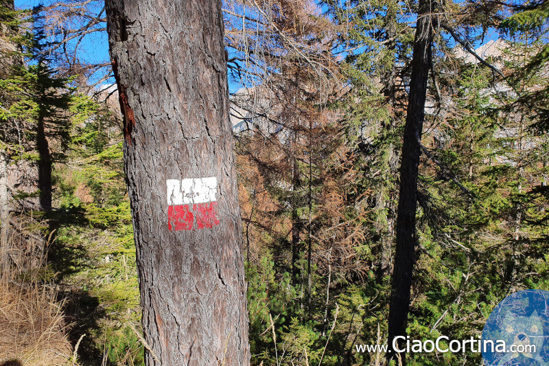 Un segnavia dipinto su un albero di Cortina