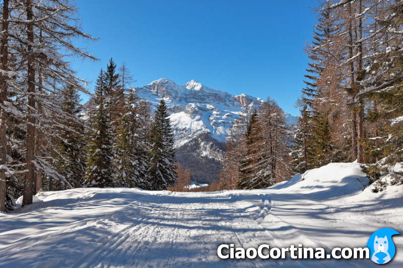 Un panorama di Mietres durante una gita invernale a Cortina d'Ampezzo