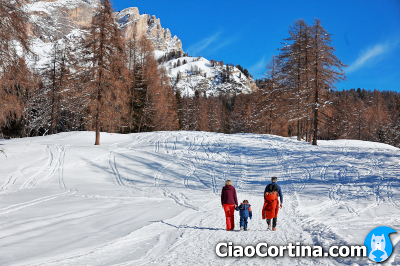 Snow walking in Cortina