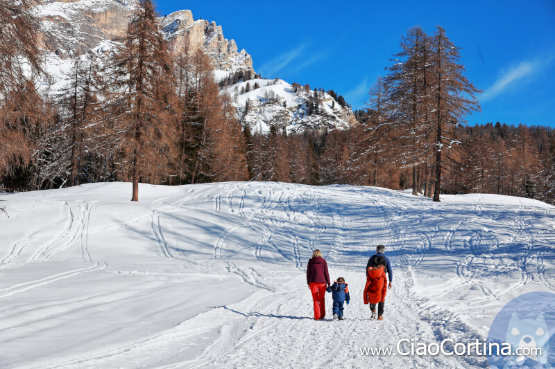 Snow walking in Cortina