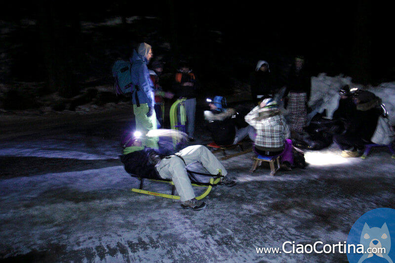 A group of friends with sleds