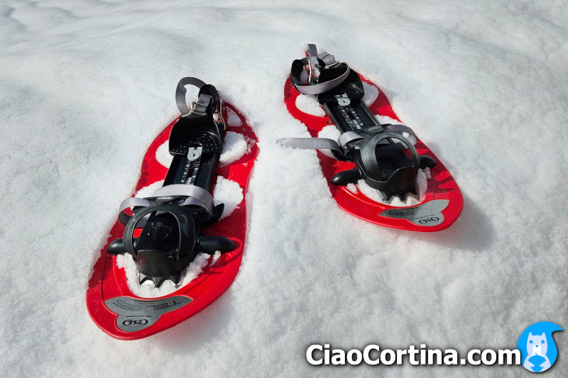 Snowshoeing in Cortina