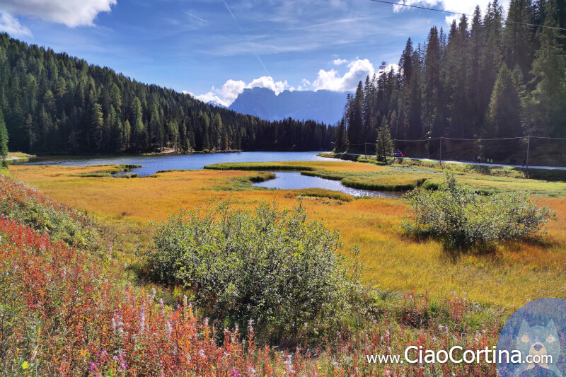 Panorama lacustre del lago di Misurina