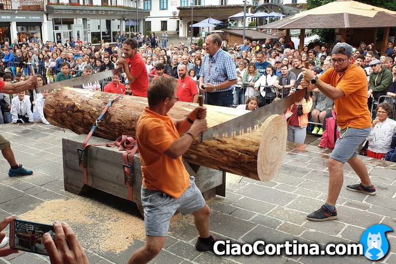 Cutting of the stump at the Cortina d'Ampezzo summer palio