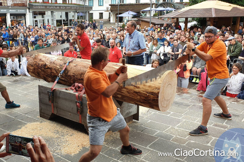 Taglio del ceppo al palio estivo di Cortina d'Ampezzo