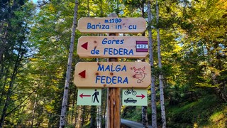 Hike in Cortina, Ra Gores de Federa