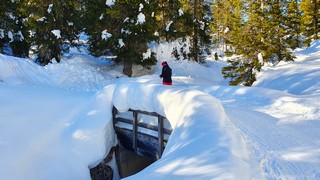 Winter hikes in Ampezzo