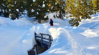 Gite invernali a Cortina d'Ampezzo